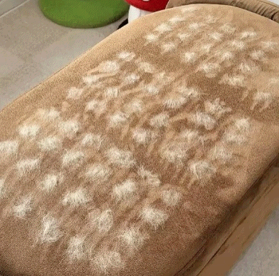 1-Swipe Hair Remover™ - 1 + 1 GRATIS