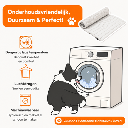 CoolPaws™ | Directe verkoeling voor je hond