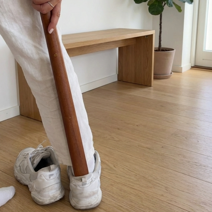 Magnetic Shoehorn