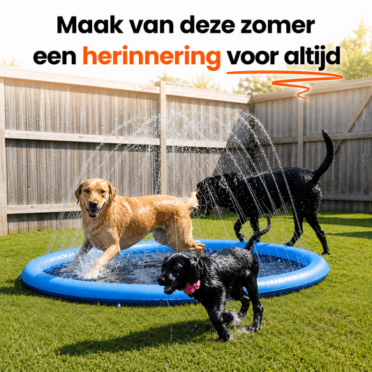 PawParadise™ | Verkoeling en speelplezier in één