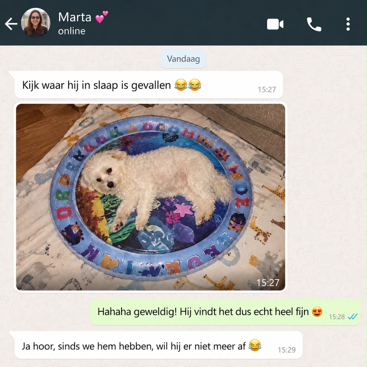 CozyCool™ Koelende Watermat | Houdt jouw hond heerlijk koel