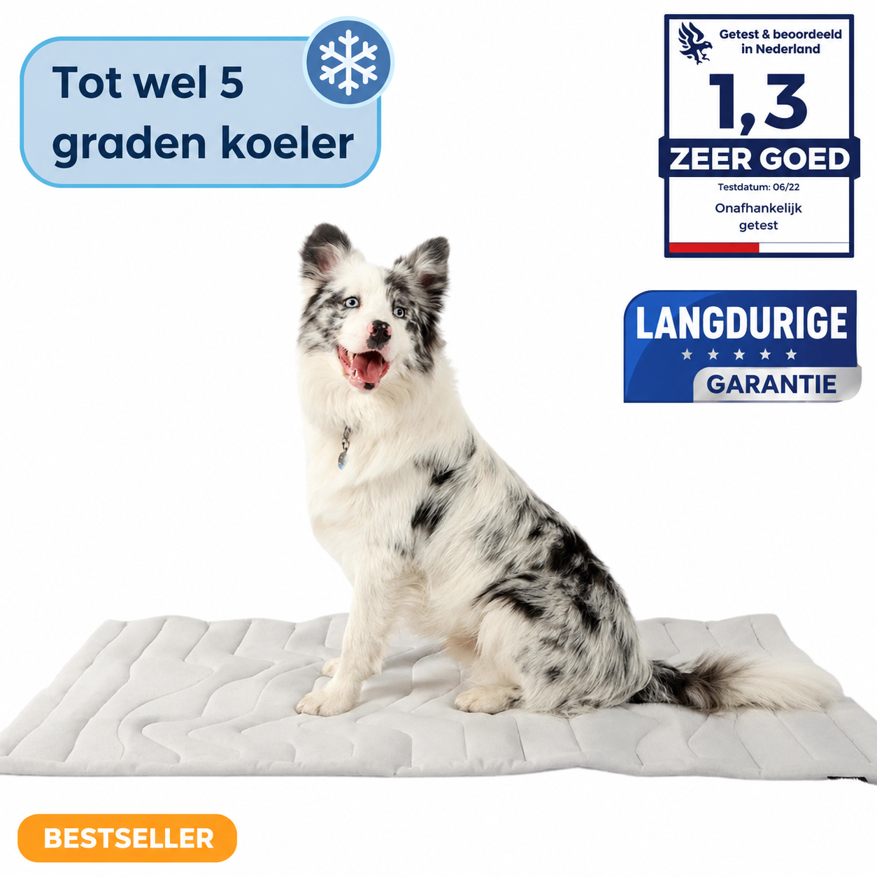 CoolPaws™ | Directe verkoeling voor je hond