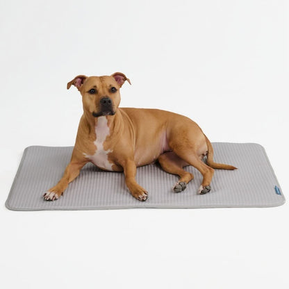 Frostcore™ Cooling Mat