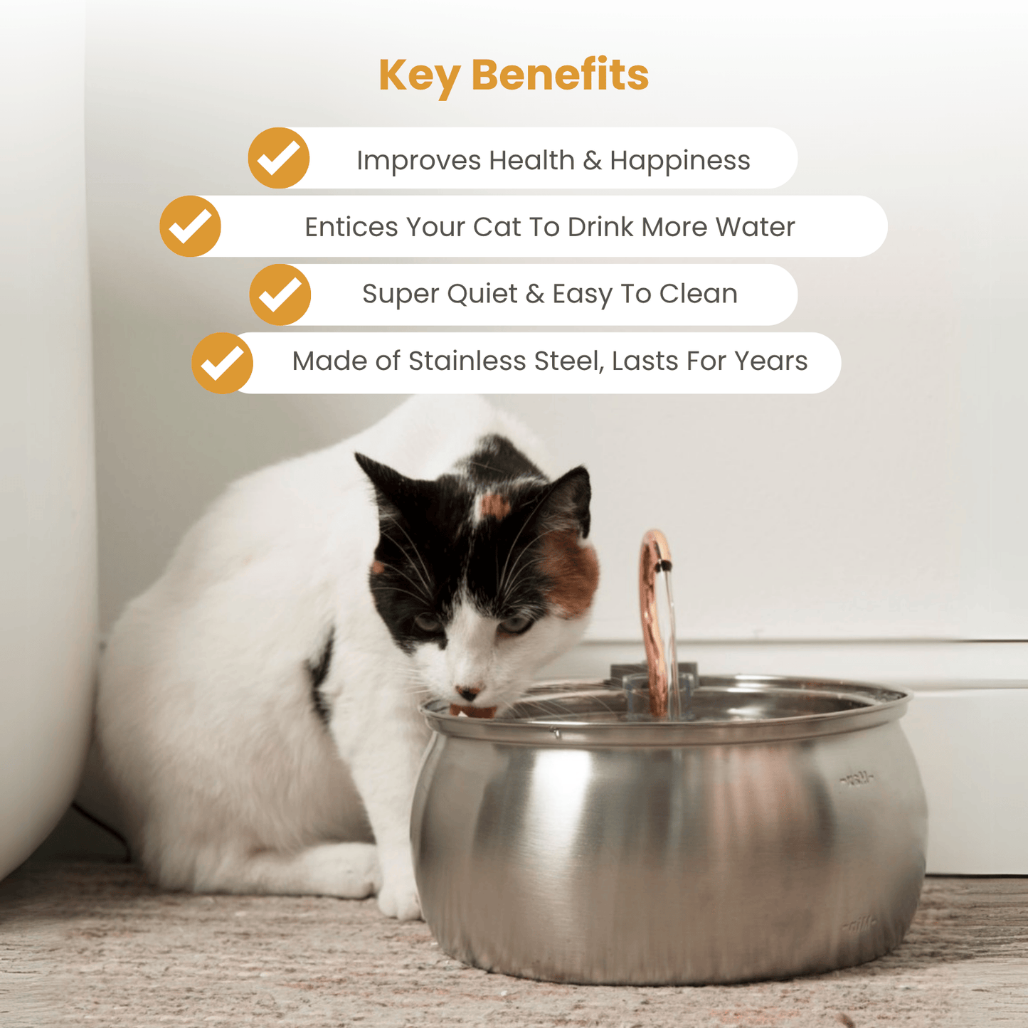 The KittySpout™ - Health & Happiness Cat Kit
