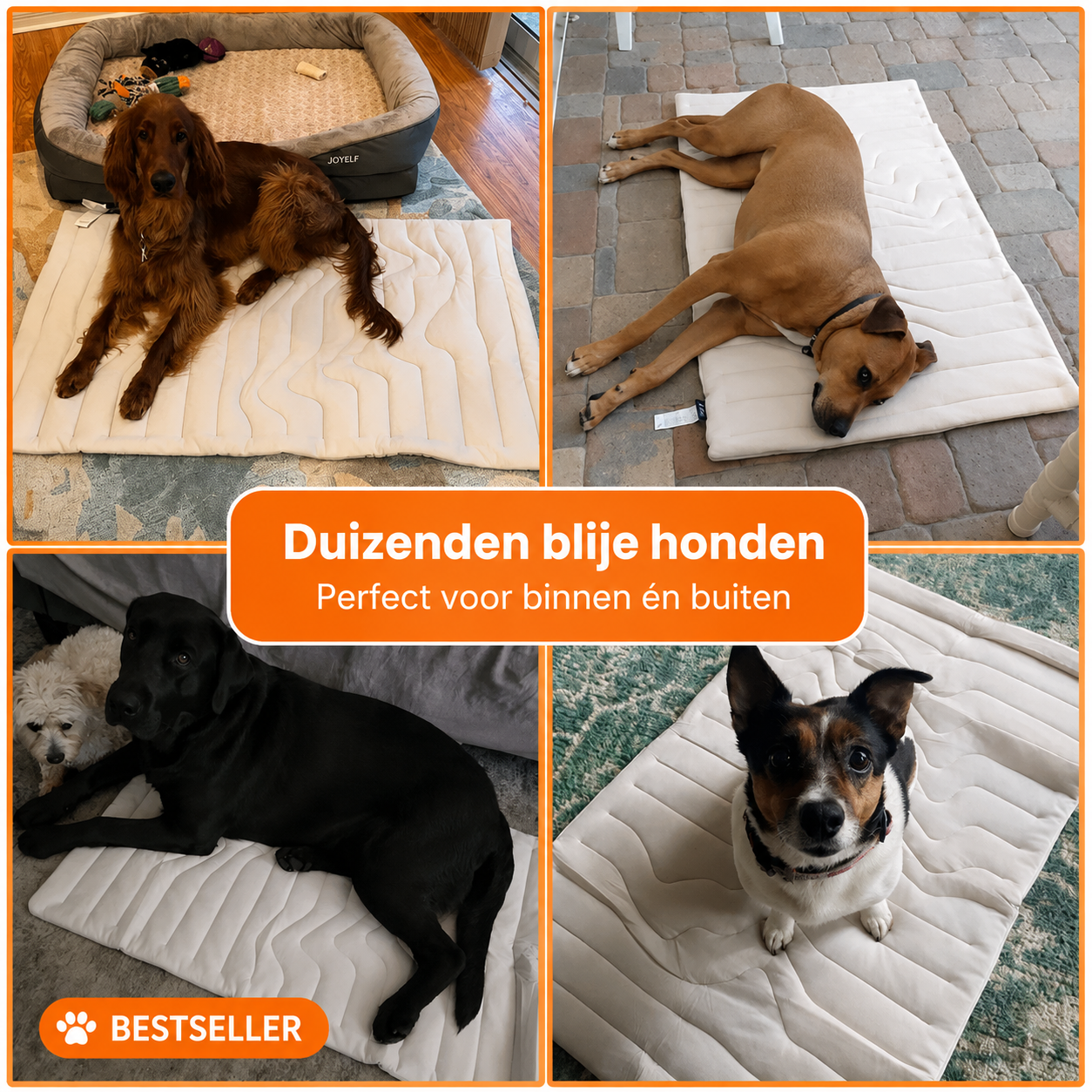 CoolPaws™ | Directe verkoeling voor je hond