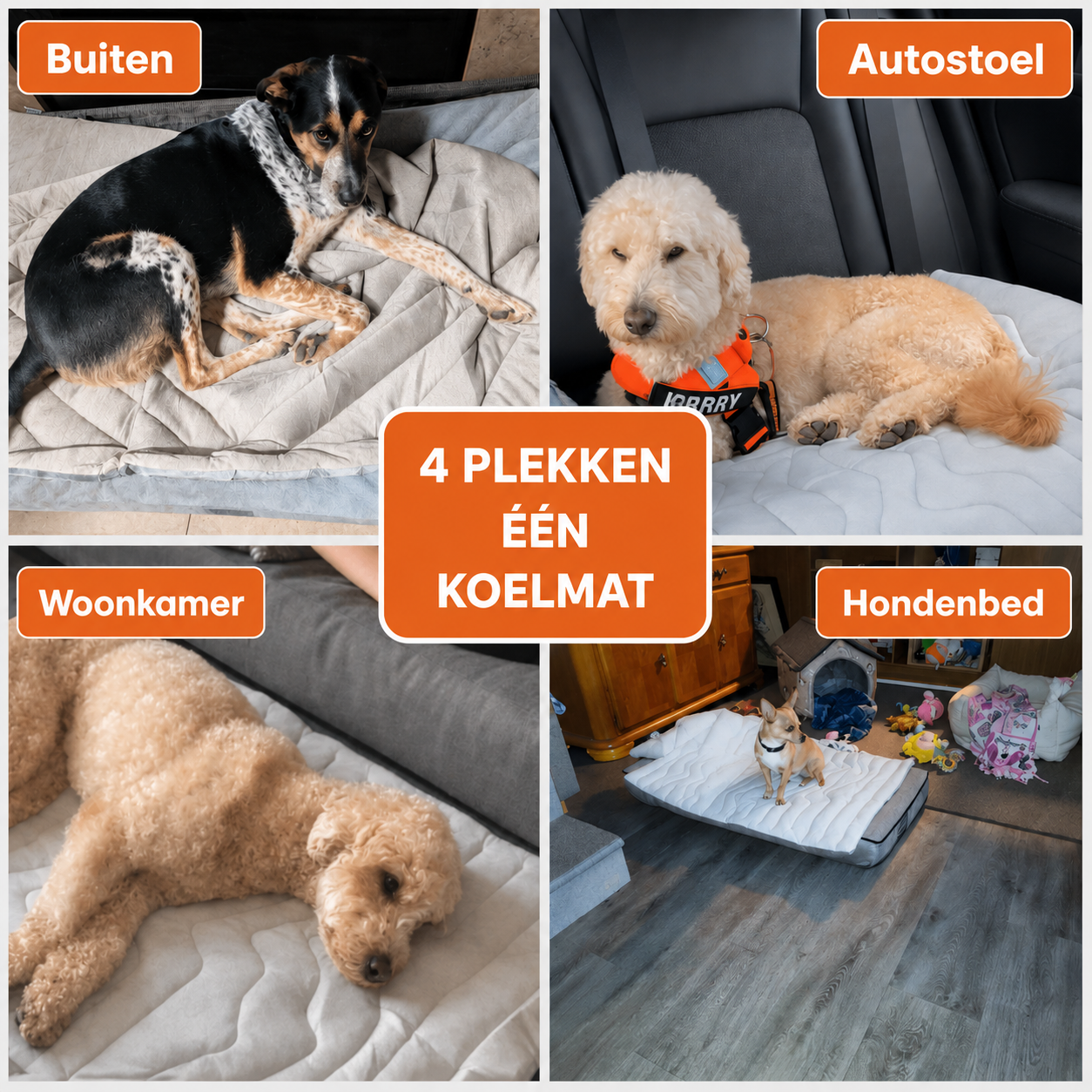 CoolPaws™ | Directe verkoeling voor je hond
