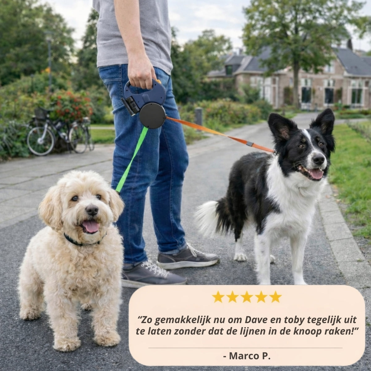 DoublePaw Control I Twee honden uitlaten zonder knopen