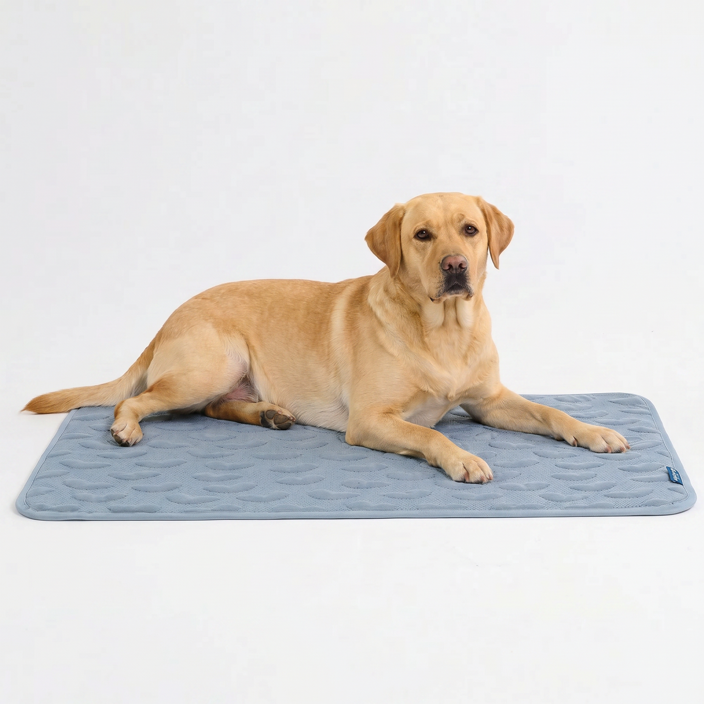 Frostcore™ Cooling Mat