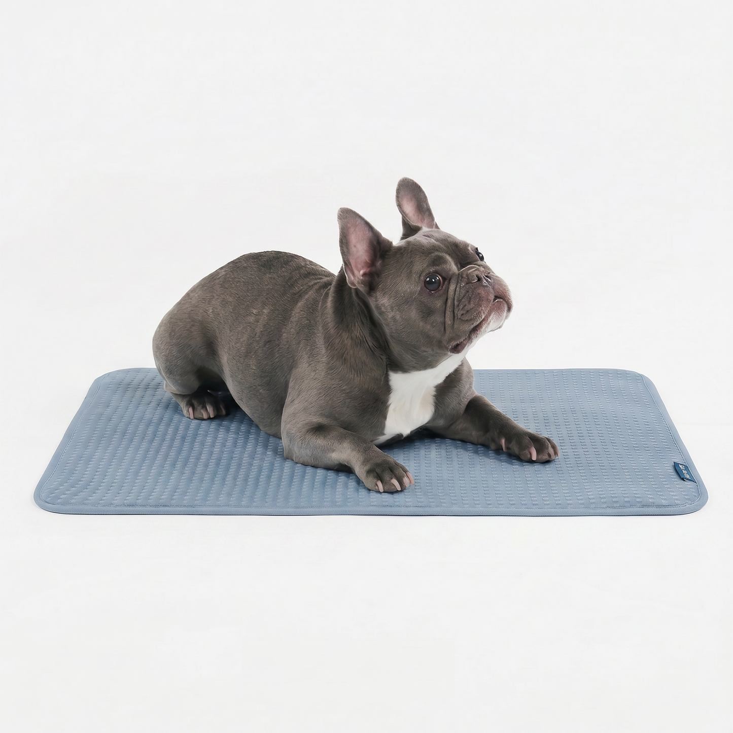 Frostcore™ Cooling Mat