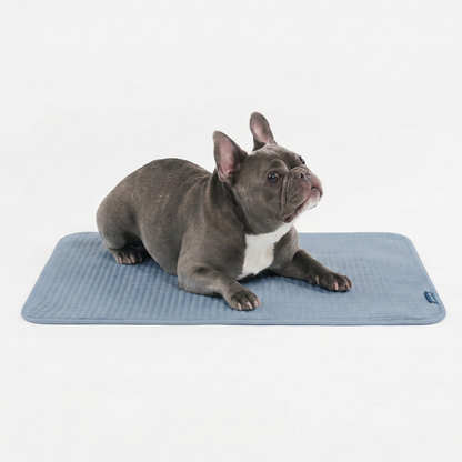 Frostcore™ Cooling Mat