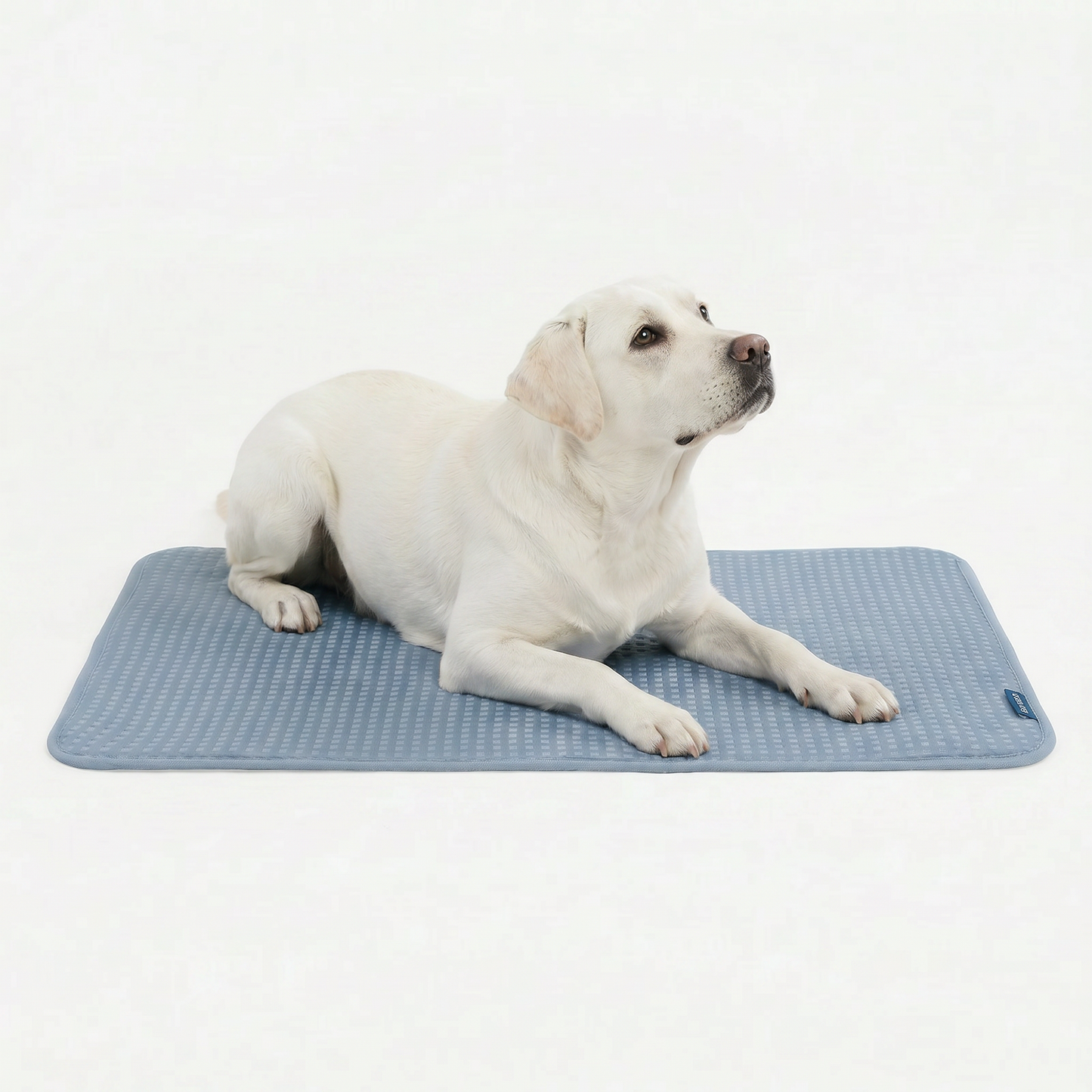 Frostcore™ Cooling Mat