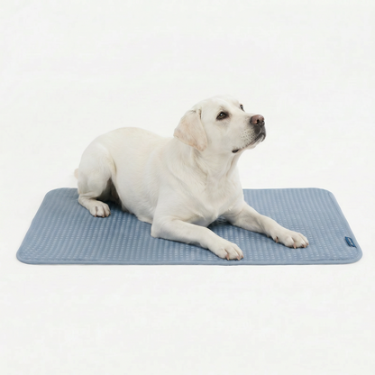 Frostcore™ Cooling Mat