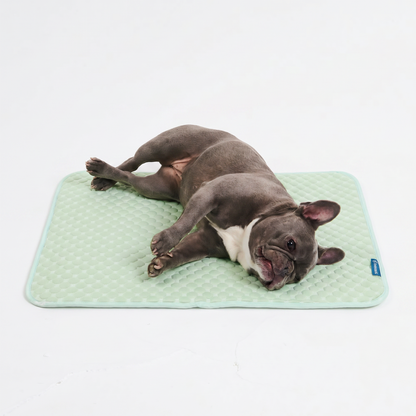 Frostcore™ Cooling Mat