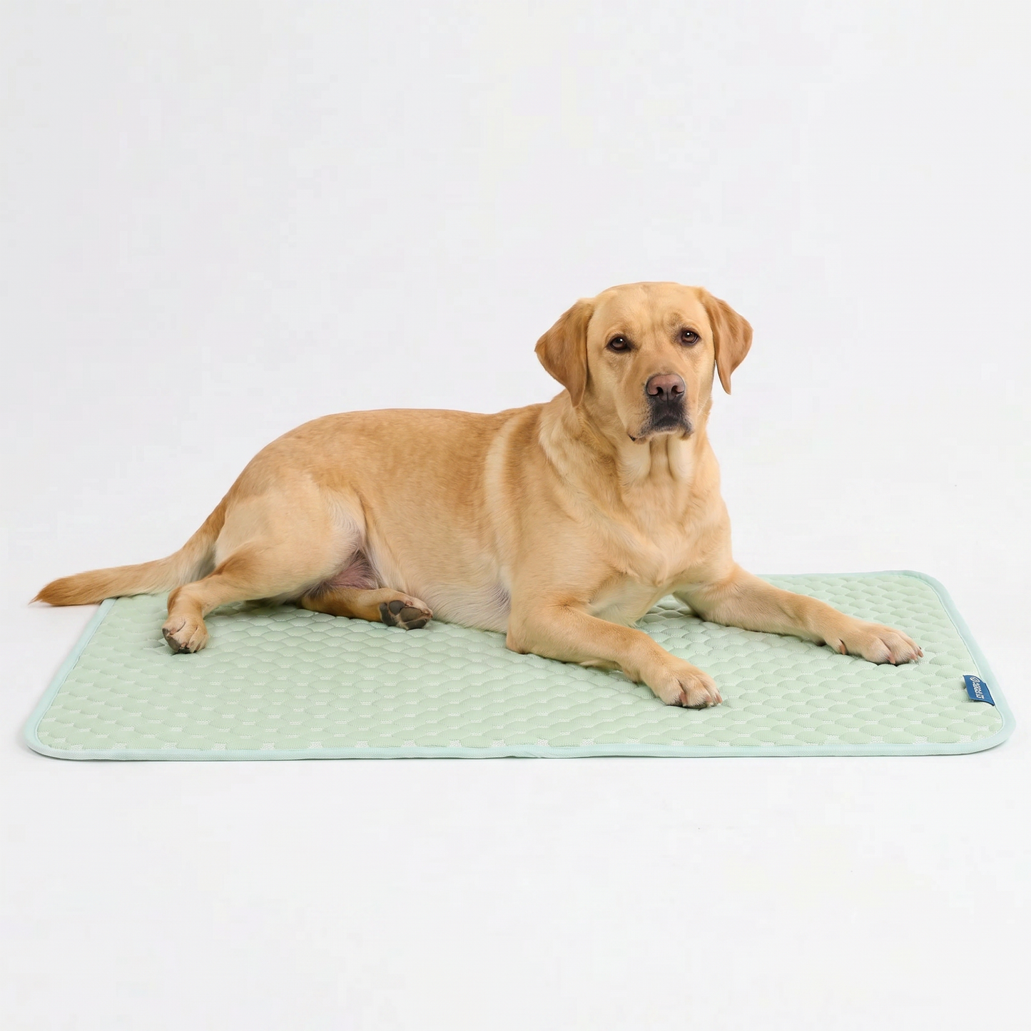 Frostcore™ Cooling Mat
