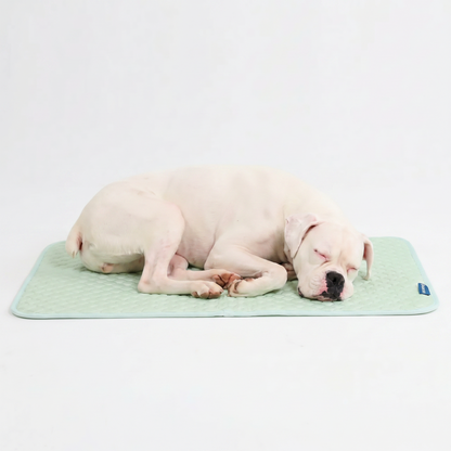 Frostcore™ Cooling Mat
