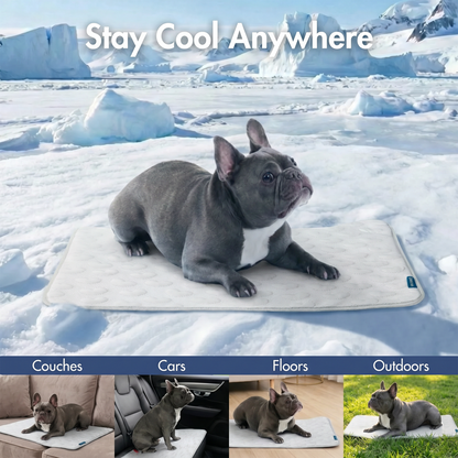 Frostcore™ Cooling Mat