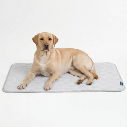 Frostcore™ Cooling Mat