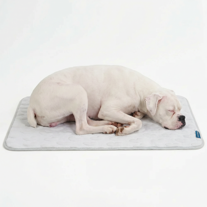 Frostcore™ Cooling Mat