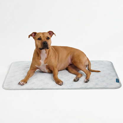 Frostcore™ Cooling Mat