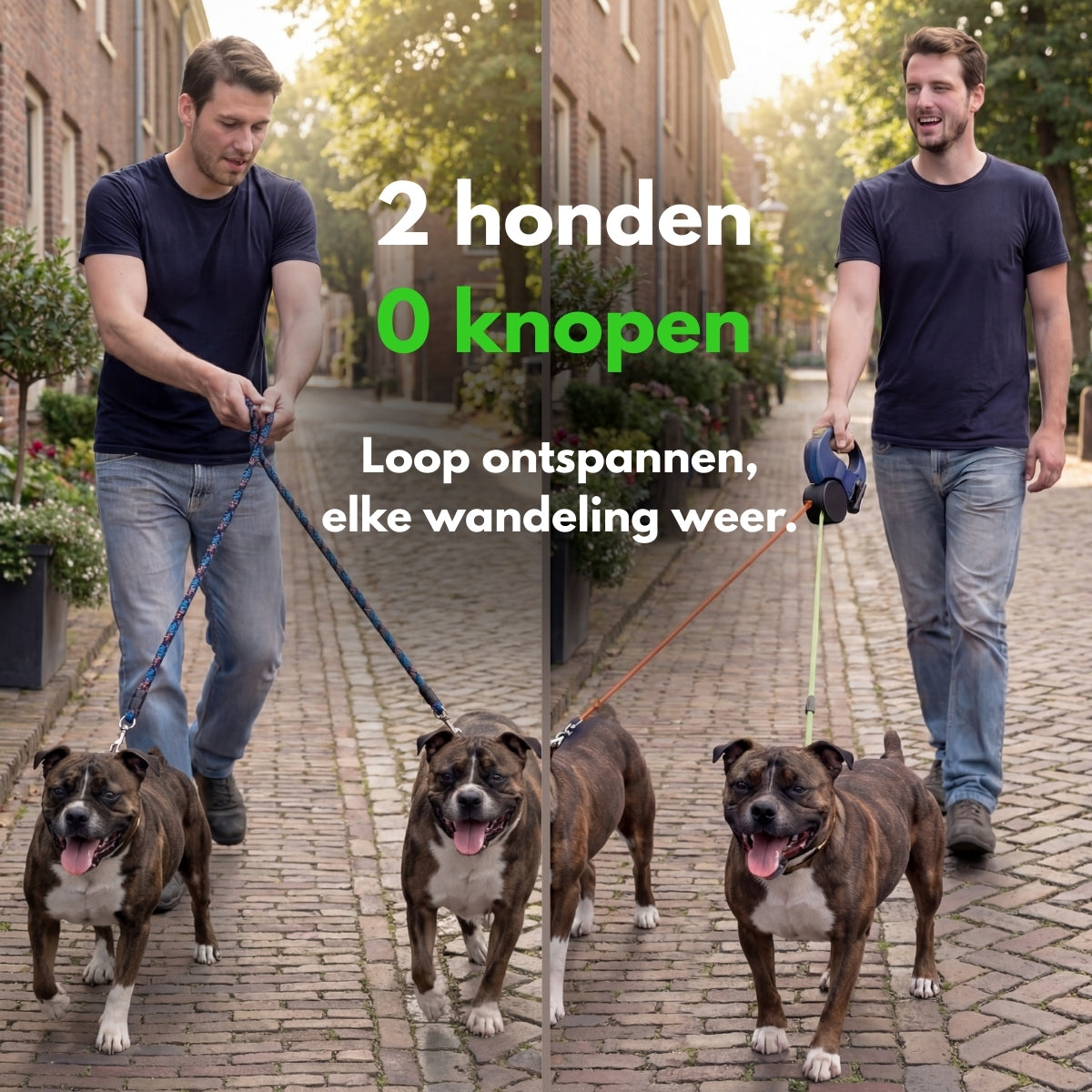 DoublePaw Control I Twee honden uitlaten zonder knopen