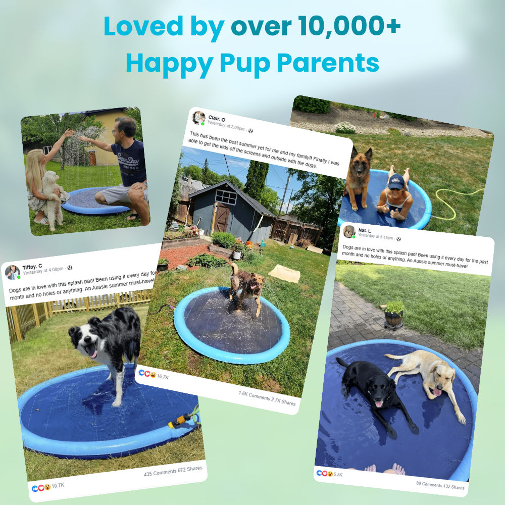 PawParadise™ | Verkoeling en speelplezier in één