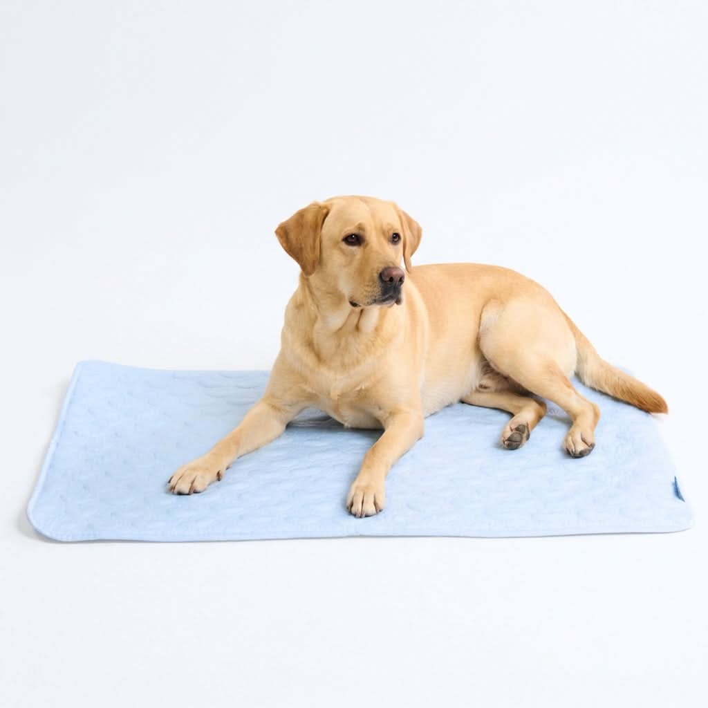 Frostcore™ Cooling Mat