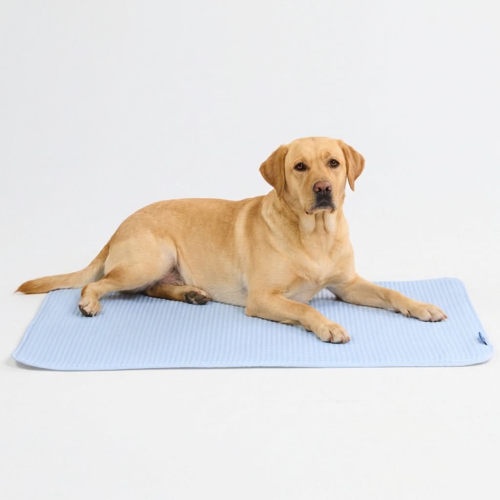Frostcore™ Cooling Mat