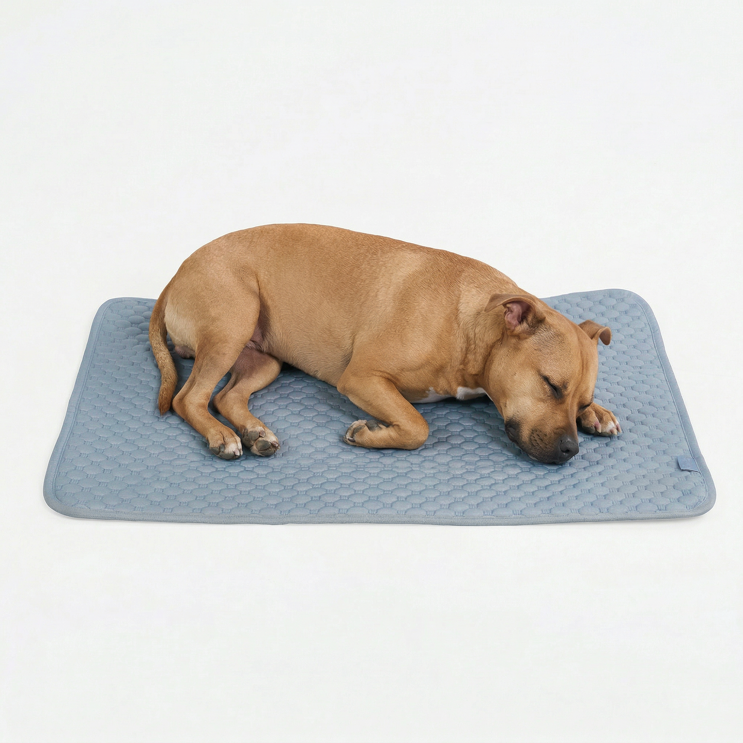 Frostcore™ Cooling Mat