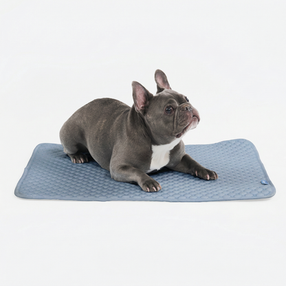 Frostcore™ Cooling Mat