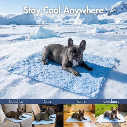 Frostcore™ Cooling Mat