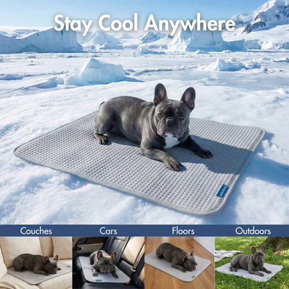 Frostcore™ Cooling Mat