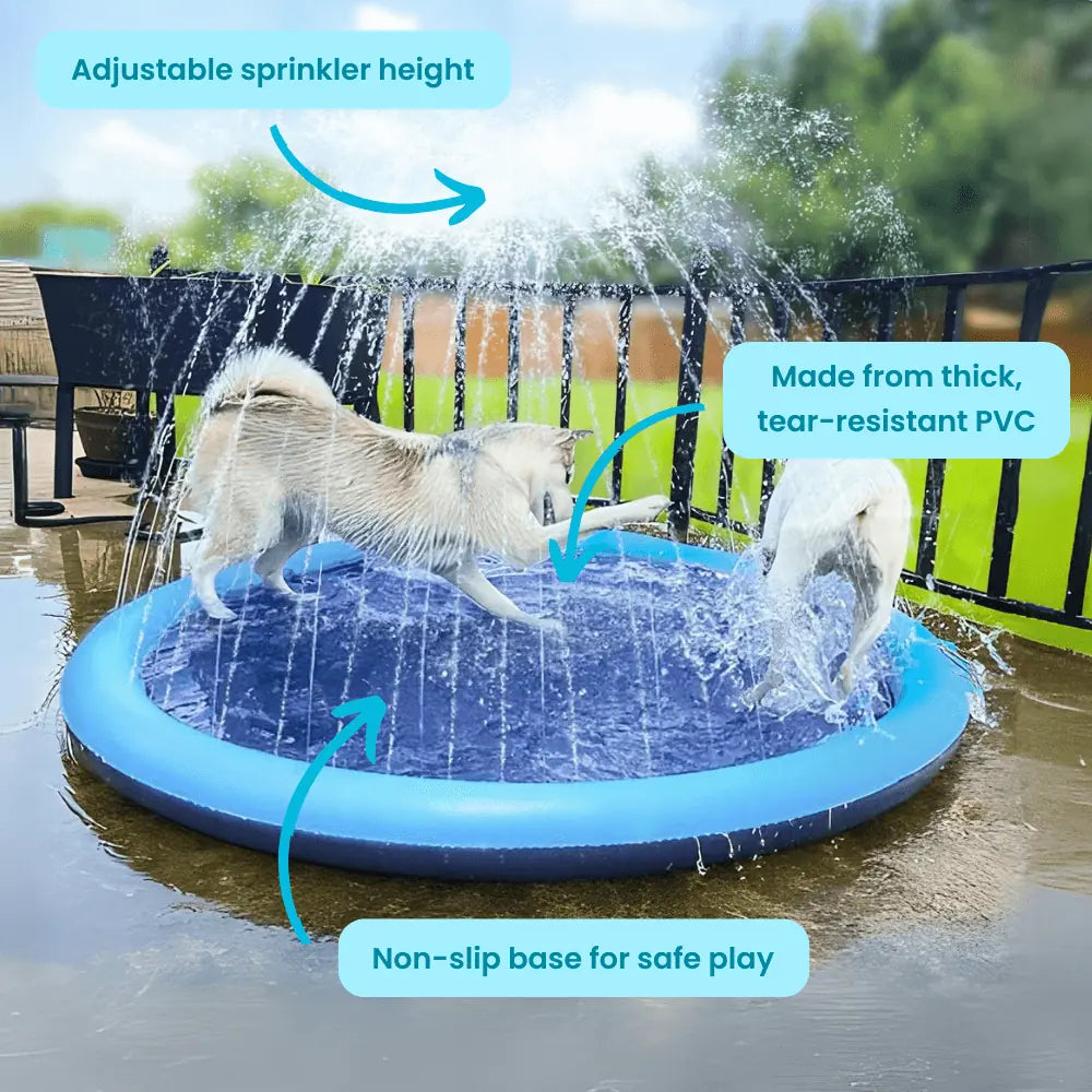 PawParadise™ | Verkoeling en speelplezier in één