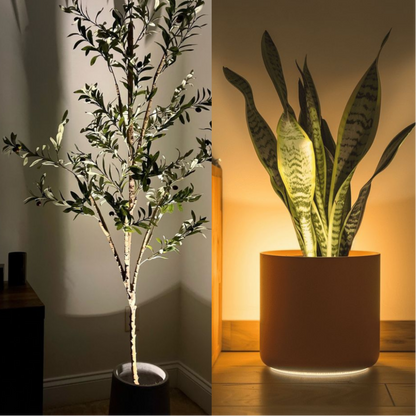 FloraLight™ | Draadloze LED‑spot geeft sfeer & accentlicht