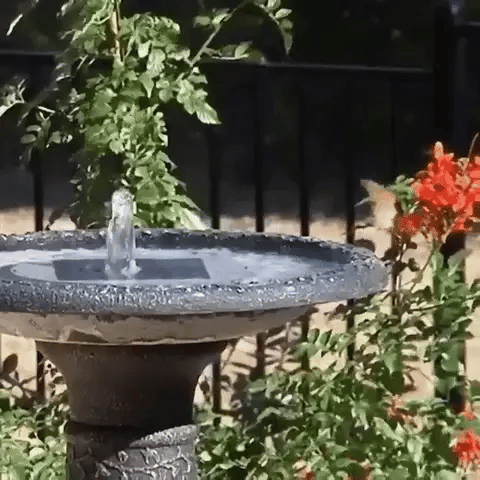 Elke dag een levendige tuin