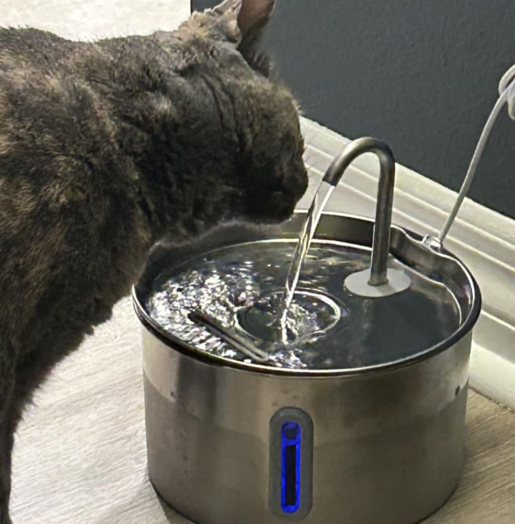 VitaFlow™ | Stimuleert drinken met schoon, gefilterd water