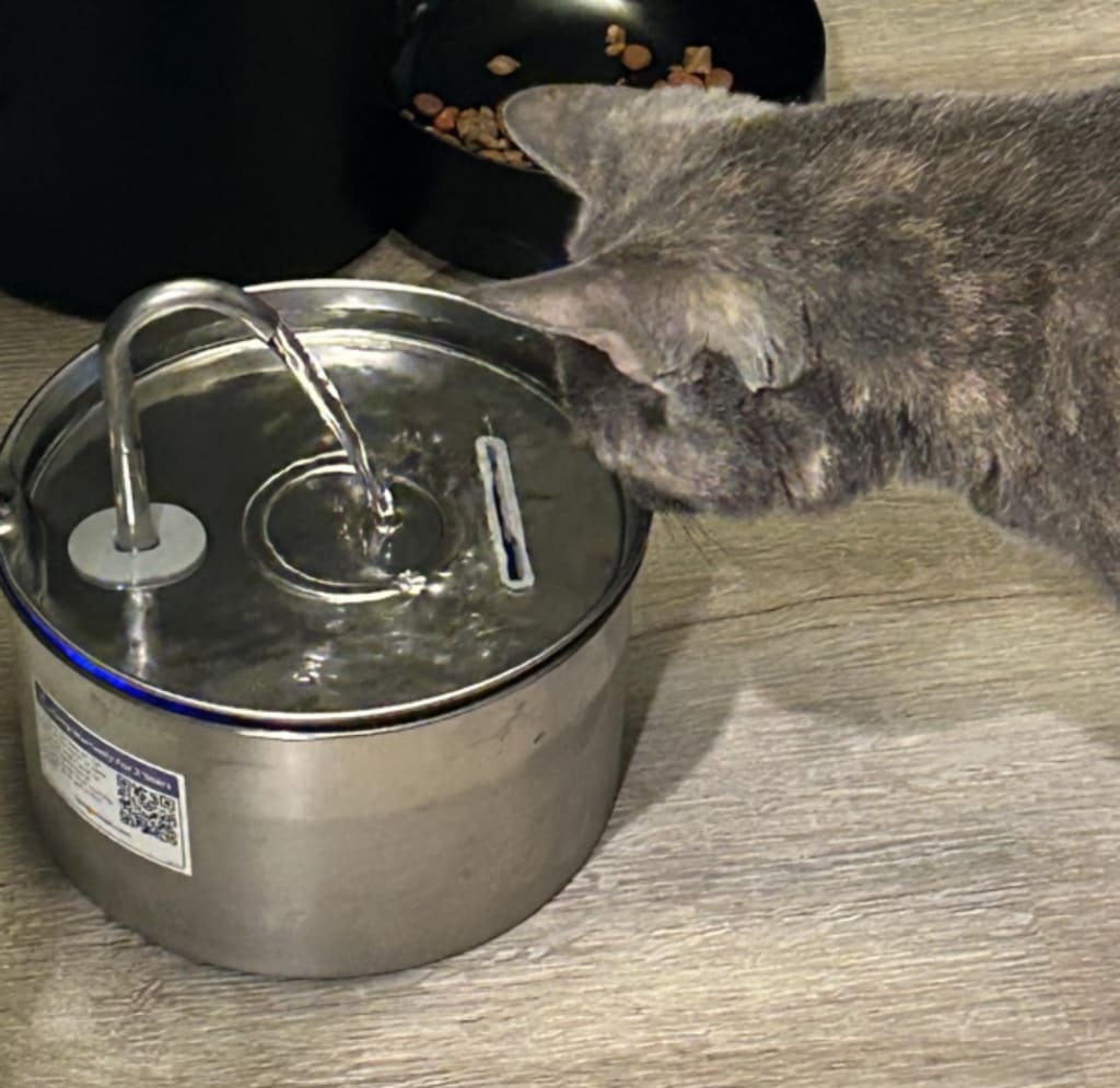 VitaFlow™ | Stimuleert drinken met schoon, gefilterd water