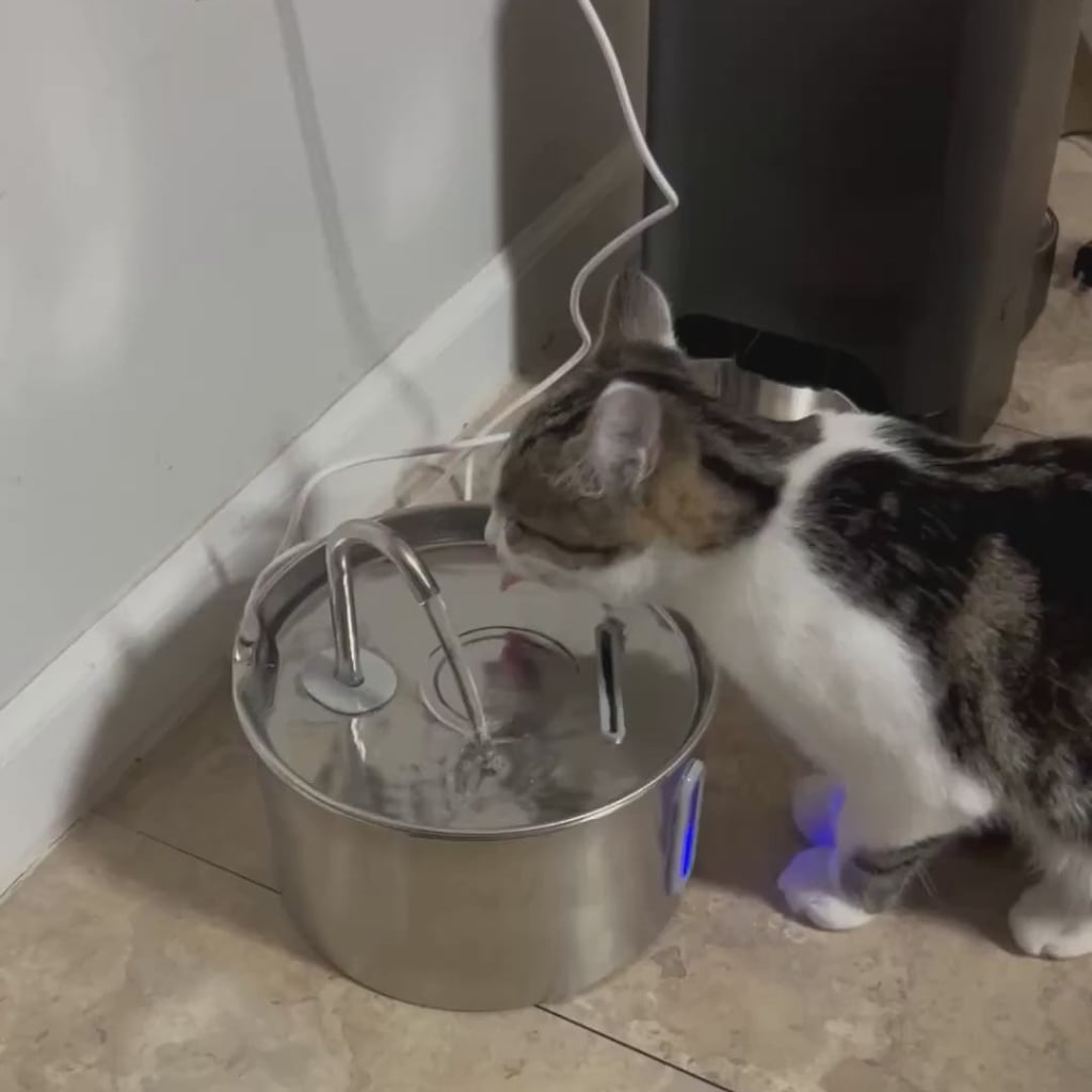 VitaFlow™ | Stimuleert drinken met schoon, gefilterd water