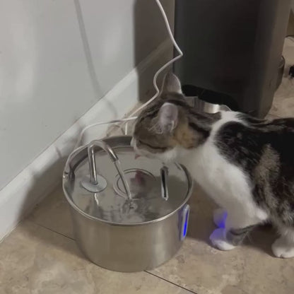 VitaFlow™ | Stimuleert drinken met schoon, gefilterd water