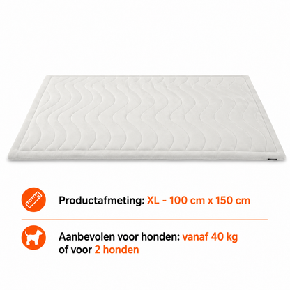 CoolPaws™ | Directe verkoeling voor je hond