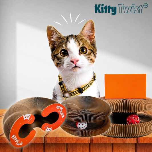 KittyTwist™ I Houdt je kat actief en voorkomt verveling